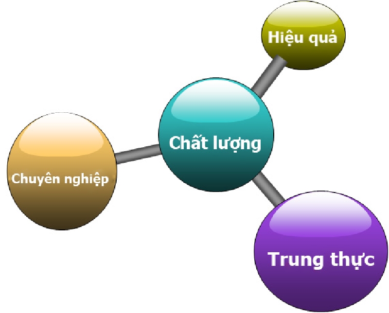 Chính sách chất lượng