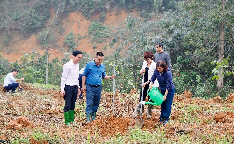PCEMA Tết trồng cây - Đời đời nhớ ơn bác Hồ